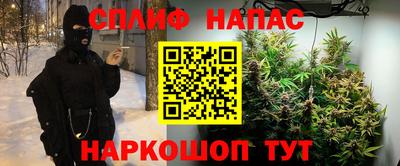 каннабис Будённовск